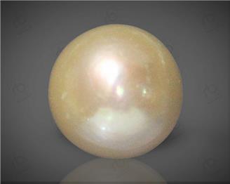  Pearl  (SS)  7.7CTS-45504